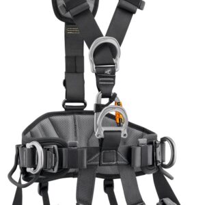 Avao® International Version